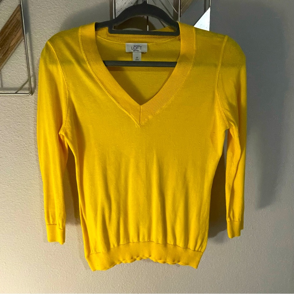 NWOT Loft V Neck Sweater